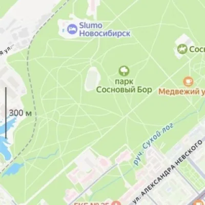 Что будет с лесом Сосновый Бор Новосибирск