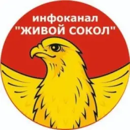 ЖИВОЙ СОКОЛ (инфоканал)