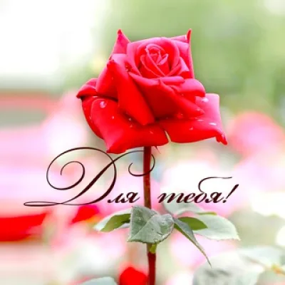 ОТКРЫТКИ🌹Поздравления