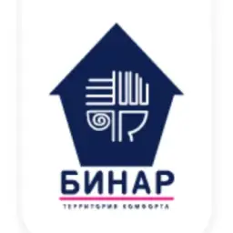 Бинар