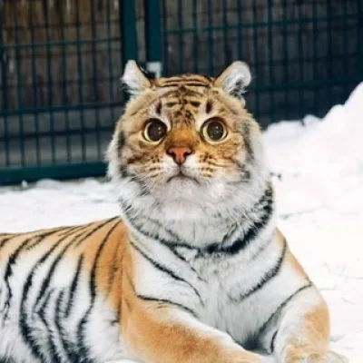 -%^^#