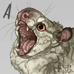 kusiska