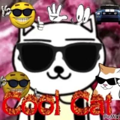 Cool Cat