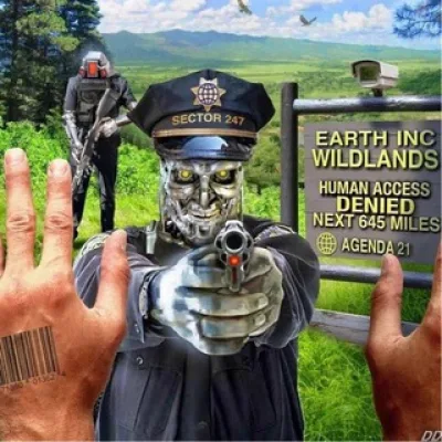 nuclearhippiemoneygang management
