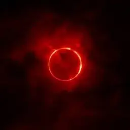 ∅