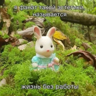 оливковые сказки