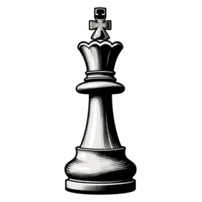 Шахматы♟