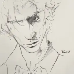 vidsul