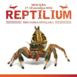 Рептилиум Reptilium | змеи | ящерицы | лягушки | рыбки