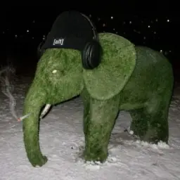 [alt]