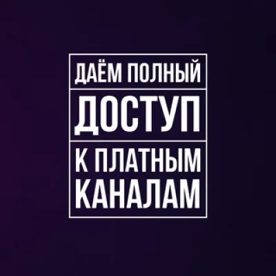 Young Inve$t | Алина Перчиц