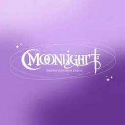 moonlight. / виви вяжет✨