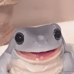 Совсем ку-ку 𓆏