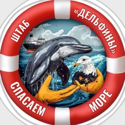 Штаб "Дельфины" ЧАТ ВОЛОНТЕРОВ "Центр Развития Культуры и Инноваций"