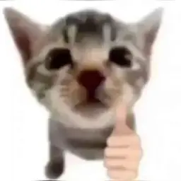 Про кошенят 🇺🇦