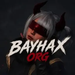 BAYHAX ORG