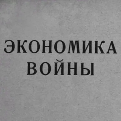 Мобилизационная экономика