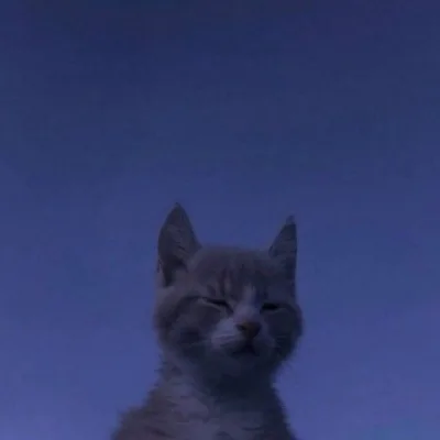 куантикс