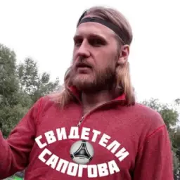 Свидетели Сапогова