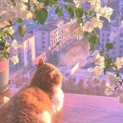 °Всего понемногу°