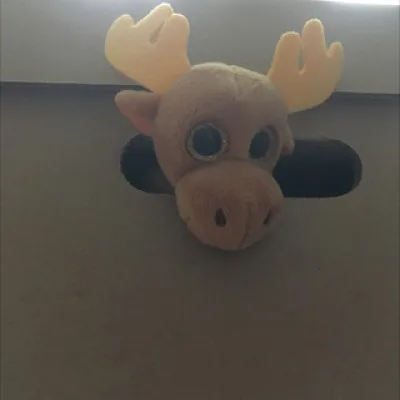 Коробка с трубадурами
