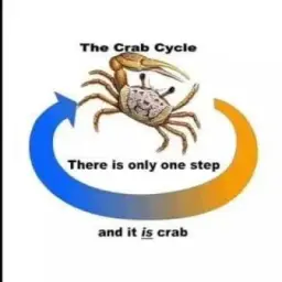 Science Diagrams that Look Like Shitposts