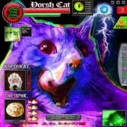 Пиар кф