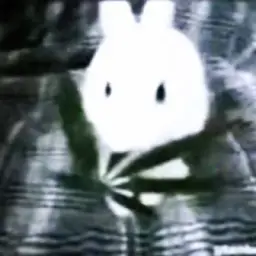 SQWERTII