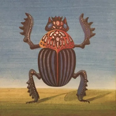 жук