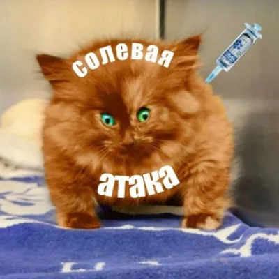 Солевая атака