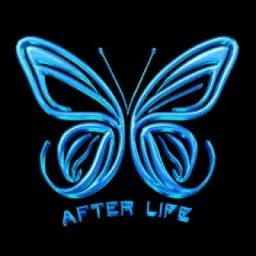 AFTER LIFE