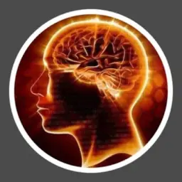 🧠 ꦿꦶPѕιcoloɢια Reverѕα🧠 ꦿꦶ