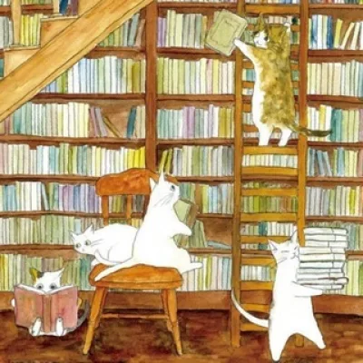 Книжные Подборки