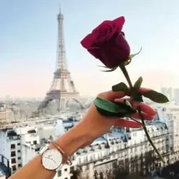 𝆮⚘ᥫໞ𑀗┼❍ຮ𑜼ŋђ❍✤