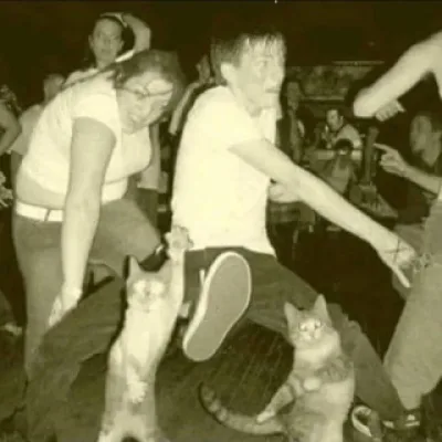 котьи коллажи