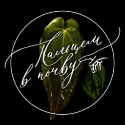 Пальцем в почву