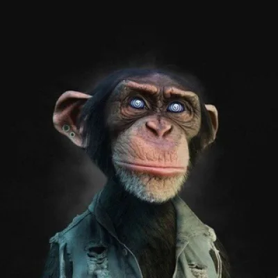 ApeCrypto