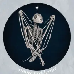 ONORE || taxidermy