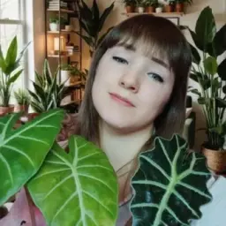 🌿 Зелёное царство 🌿
