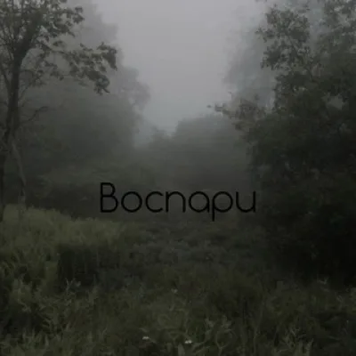 В О С П А Р И