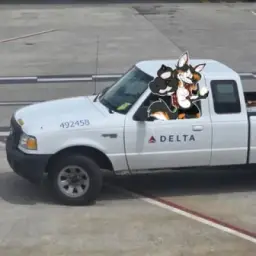 Aviation Whores
