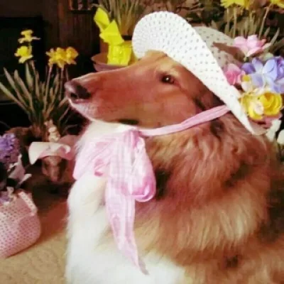 Итоги эскапизма