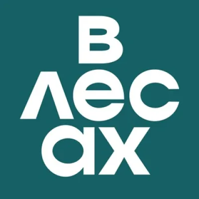 В лесах
