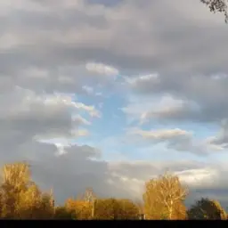 Алтай, не молчи! Наши не придут! Все наши - это мы!