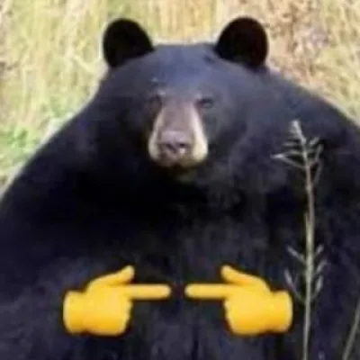 Медвежья берлога 🐻🍃