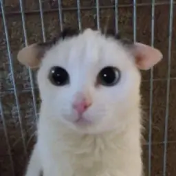 Сушняк!