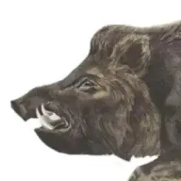 буквы знаешь наберешь
