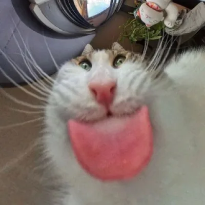 Nn️