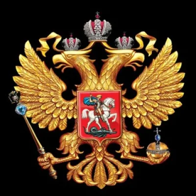 Сводки и Аналитика СВО
