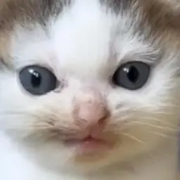 ОХОРОНА